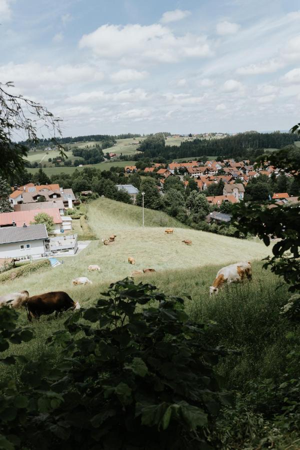 Ferienwohnung Alpenblick I Kamin I Private Sauna Wangen im Allgäu Buitenkant foto