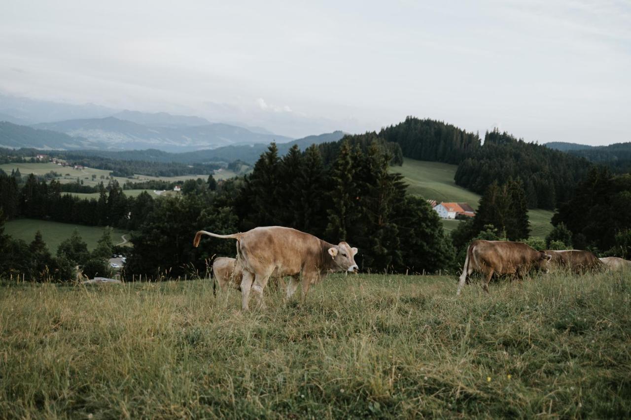 Ferienwohnung Alpenblick I Kamin I Private Sauna Wangen im Allgäu Buitenkant foto